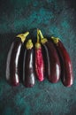Fresh raw purple and striped eggplants, different color and variety on the dark background
