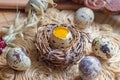 Fresh raw quail eggs in the nest on rustic straw and wooden vintage background Royalty Free Stock Photo