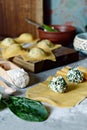 Fresh Raw Ravioli with Ricotta and Spinach on a blue background. Homemade raw uncooked italian pasta ravioli. Royalty Free Stock Photo