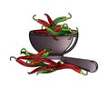 Red and green hot chilies