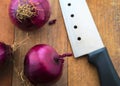 Fresh Raw Red Onions, Knife On A Rustic Wooden Cutting Board. Food Preparation, Cooking Concept. Royalty Free Stock Photo