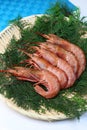 The raw red prawns which I served to a colander. Royalty Free Stock Photo