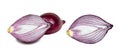 Fresh raw red sliced onion bulb set isolated on white background. Royalty Free Stock Photo