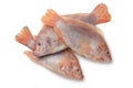 Fresh raw red tilapia fishes Royalty Free Stock Photo