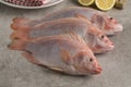 Fresh raw red tilapia fishes Royalty Free Stock Photo