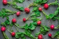 Fresh Raw Ripe Red Radishes with Green Leaves Scattered on Black Concrete Stone Background. Top View Flat Lay. Vibrant Colors Royalty Free Stock Photo