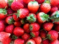Fresh raw and ripe strawberry group.