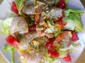 Fresh raw  salad with lettuce, tiger  shrimps and grapefruit  with sour sauce at pink plate. close up Royalty Free Stock Photo