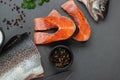 Fresh raw salmon cooking. Fish steak with herbs and spices. Copy space Royalty Free Stock Photo