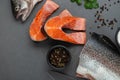 Fresh raw salmon cooking. Fish steak with herbs and spices. Copy space Royalty Free Stock Photo