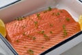 Fresh raw salmon fillet with herbs and lemon slices closeup