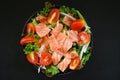 fresh raw salmon fish cooking food seafood salmon fish healthy food black background, salmon salad food salmon fillet with Royalty Free Stock Photo