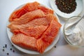 Fresh raw salmon fish fillet on a white plate Royalty Free Stock Photo