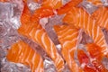 Fresh Raw Salmon Fish In Ice