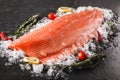 Fresh raw salmon fish steak with spices on ice over dark stone background. Creative layout made of fish Royalty Free Stock Photo