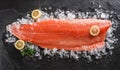 Fresh raw salmon fish steak with spices on ice over dark stone background. Creative layout made of fish, top view, flat lay Royalty Free Stock Photo