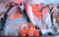 Fresh raw salmon on ice counter Royalty Free Stock Photo