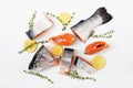 Fresh raw salmon pieces red fish isolated on a white background. Royalty Free Stock Photo