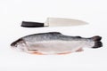 Fresh raw salmon red fish isolated on a white background. Royalty Free Stock Photo