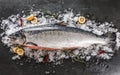 Fresh raw salmon red fish with spices on ice over dark stone background. Royalty Free Stock Photo