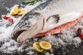 Fresh raw salmon red fish with spices on ice over dark stone background. Creative layout made of fish, seafood Royalty Free Stock Photo