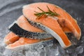 Fresh raw salmon steak with herbs rosemary on black plate background - Close up of raw salmon fish fillet and ice Royalty Free Stock Photo