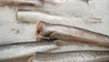 Fresh raw salmon, sturgeon, dorado fish and sea bass lie on the counter with ice in the fish market. Open shelf in a