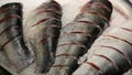 Fresh raw salmon, sturgeon, dorado fish and sea bass lie on the counter with ice in the fish market. Open shelf in a