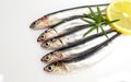 Fresh raw sardines Royalty Free Stock Photo