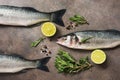 Fresh raw sea bass fish with rosemary and lime on a dark brown rustic background. Flat lay, overhead view Royalty Free Stock Photo