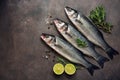 Fresh raw sea bass fish with rosemary and lime on a dark brown rustic background. Flat lay, top view, copy space Royalty Free Stock Photo