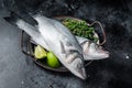 Fresh Raw Sea Bass, Labrax fish with herbs and lime. Black background. Top view