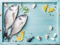 Fresh raw sea bream fish decorated with lemon slices, herbs and shells in blue tray, copy space Royalty Free Stock Photo