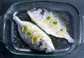 Fresh Raw Sea Bream Fish with herbs. ready to cook Royalty Free Stock Photo