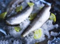 Fresh raw sea fish and lemon on ice surface.