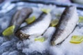 Fresh raw sea fish and lemon slices on ice surface.