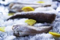 Fresh raw sea fish and lemon on ice surface.