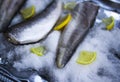 Fresh raw sea fish and lemon slices on ice surface.