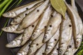 Fresh raw sea fish smelt or sardines ready for cooking