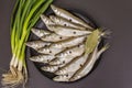 Fresh raw sea fish smelt or sardines ready for cooking