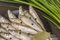 Fresh raw sea fish smelt or sardines ready for cooking