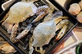 Fresh raw sea flower crab portunus pelagicus premium grade on tray Royalty Free Stock Photo