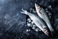 Fresh raw seabass fish on black stone background with ice. Culinary seafood background.