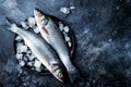Fresh raw seabass fish on black stone background with ice. Culinary seafood background.