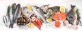 Fresh raw seafood Royalty Free Stock Photo