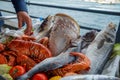 Fresh raw seafood presentation on cart at seaside restaurant with a man hand including fishes, prawn, shell, etc. on blurred ocean Royalty Free Stock Photo