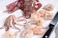 Fresh raw seafood - shrimp and calamari Royalty Free Stock Photo