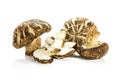 Fresh raw shiitake mushroom isolated on white Royalty Free Stock Photo