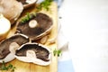 Fresh raw shiitake mushrooms on cooking board Royalty Free Stock Photo