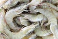 Fresh raw shrimp as garnish in cooking. Royalty Free Stock Photo